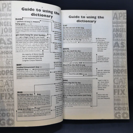 Longman Idioms Dictionary รูปที่ 9