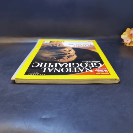 National Geographic ธ.ค.2550 สมเด็จพระเจ้าตากสินมหาราช รูปที่ 6