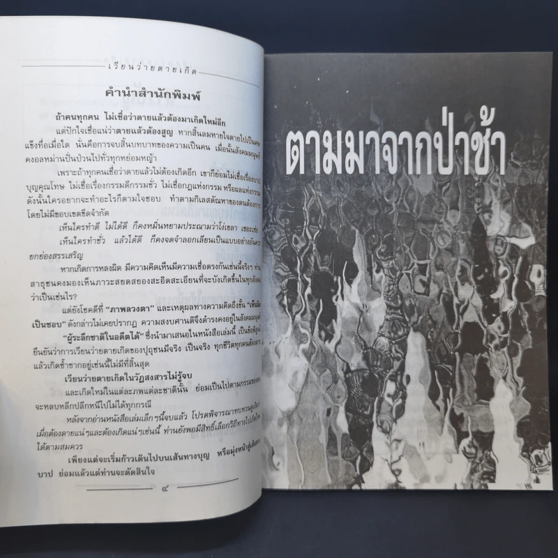 เวียนว่ายตายเกิด - นที ลานโพธิ รูปที่ 10
