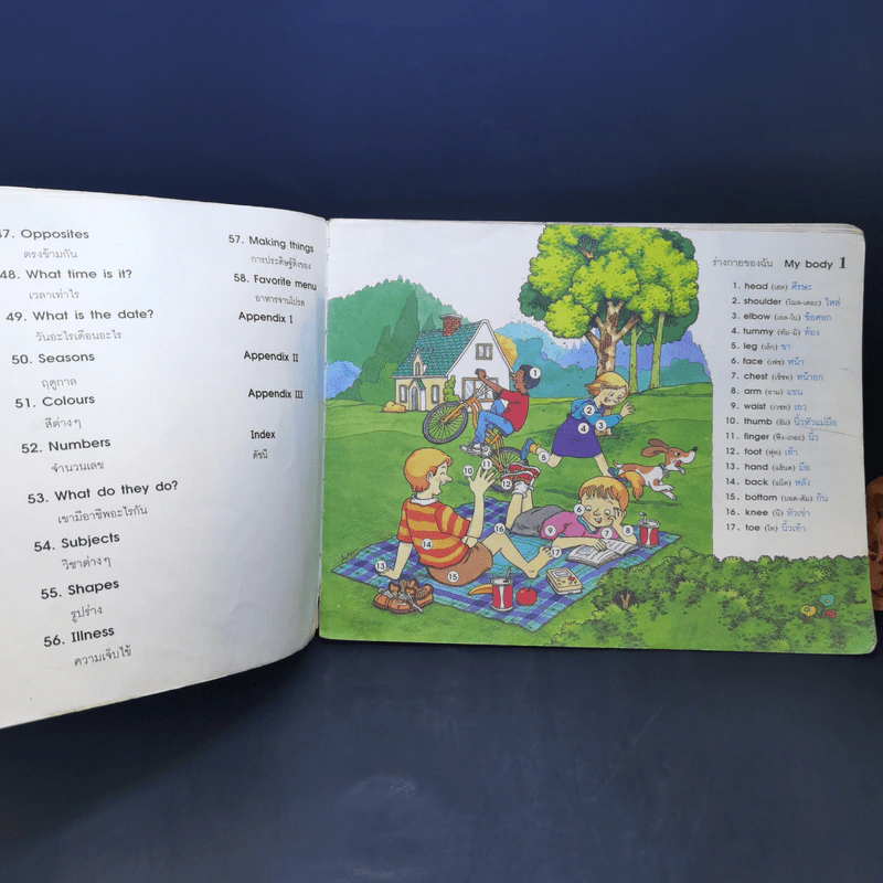 Children's Picture Dictionary พจนานุกรมภาพสำหรับเด็ก รูปที่ 11