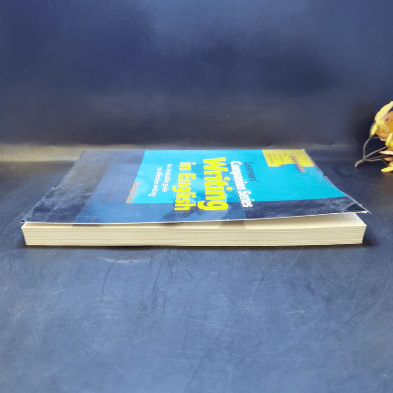 Learner's Companion Series Writing in English - George Stern รูปที่ 5