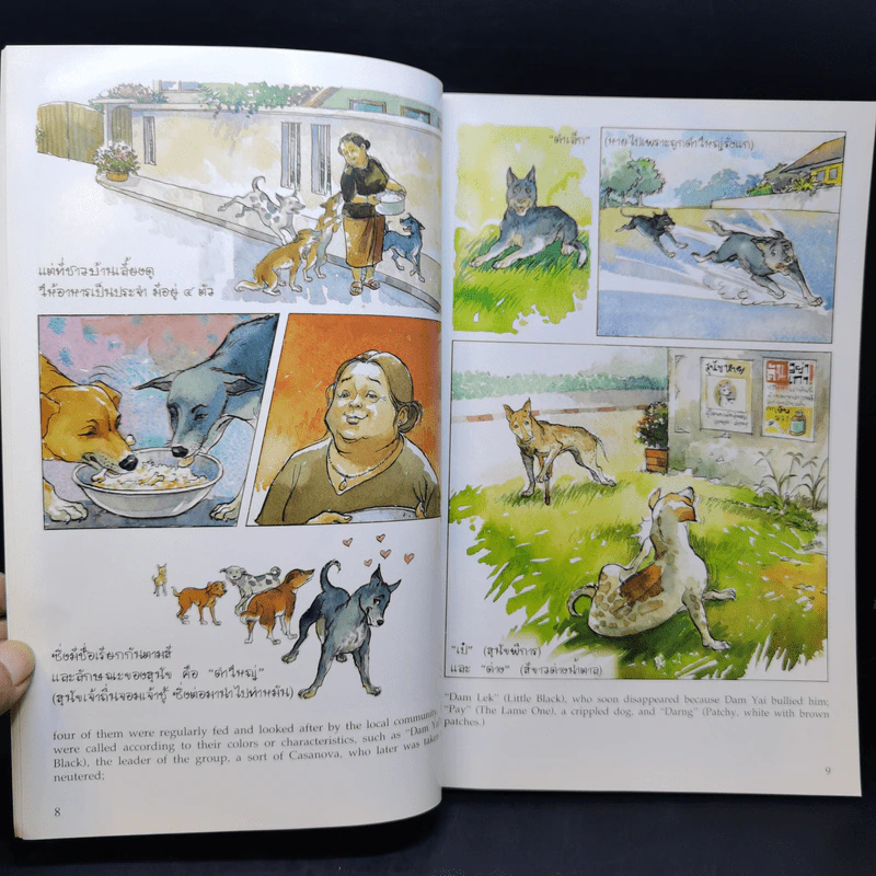 เรื่อง ทองแดง ฉบับการ์ตูน ภาพสี รูปที่ 11