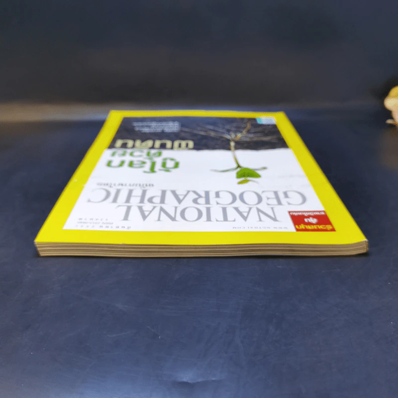 National Geographic ก.ย.2551 กู้โลกด้วยผืนดิน รูปที่ 6