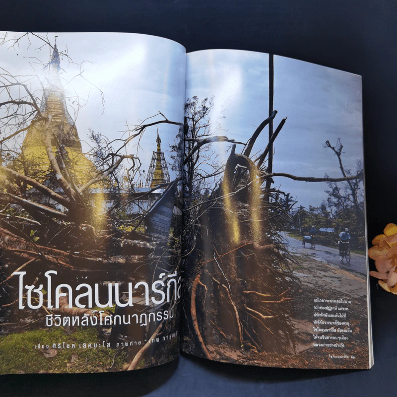 National Geographic ก.ย.2551 กู้โลกด้วยผืนดิน รูปที่ 10