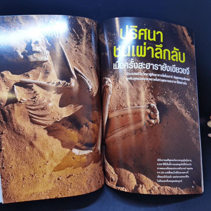 National Geographic ก.ย.2551 กู้โลกด้วยผืนดิน รูปที่ 12