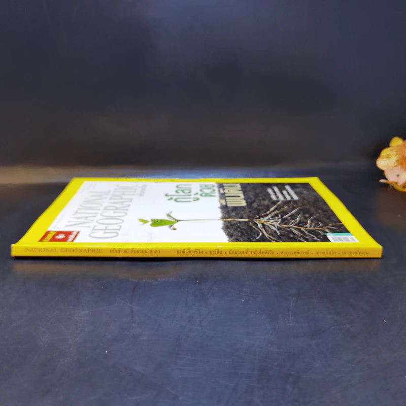 National Geographic ก.ย.2551 กู้โลกด้วยผืนดิน รูปที่ 3