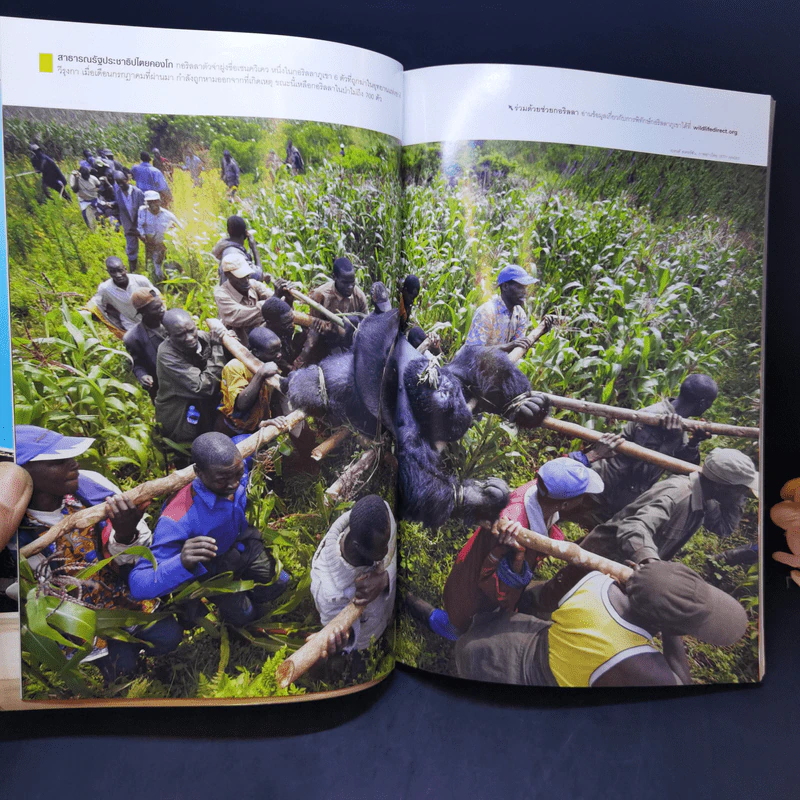 National Geographic ธ.ค.2550 สมเด็จพระเจ้าตากสินมหาราช รูปที่ 10