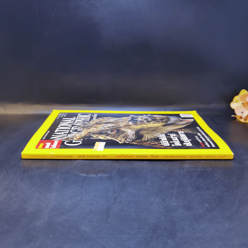 National Geographic ม.ค.2551 พิลึกพิลั่นไดโนเสาร์พันธุ์พิสดาร รูปที่ 3