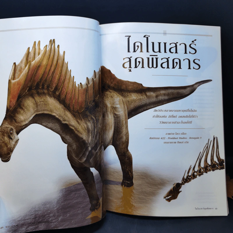 National Geographic ม.ค.2551 พิลึกพิลั่นไดโนเสาร์พันธุ์พิสดาร รูปที่ 10