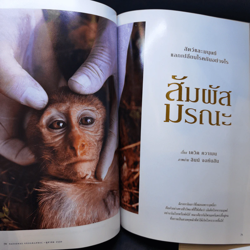 National Geographic ต.ค.2550 วิกฤติคาร์บอน รูปที่ 11