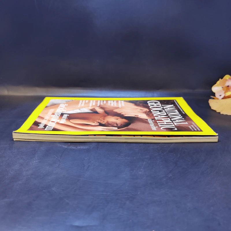National Geographic เม.ย.2546 ต้นกำเนิดสัตว์เลี้ยงลูกด้วยนม รูปที่ 5