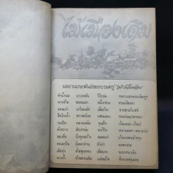 นางห้าม - ไม้ เมืองเดิม รูปที่ 8