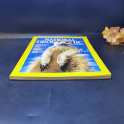 National Geographic ก.ย.2545 เมียร์แคต ยืนหยัดสู้โลก รูปที่ 4