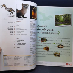 National Geographic มิ.ย.2550 วิกฤติโลกร้อน รูปที่ 9