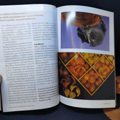 National Geographic มิ.ย.2551 ถอดรหัสลับสโตนเฮนจ์ รูปที่ 12