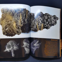 National Geographic มี.ค.2546 ไดโนเสาร์ ชำแหละความลับชีวิตสัตว์โลกล้านปี รูปที่ 14