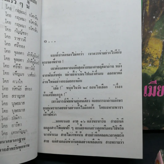 เมียบำเรอ 3 เล่มจบ - พัดชา รูปที่ 8