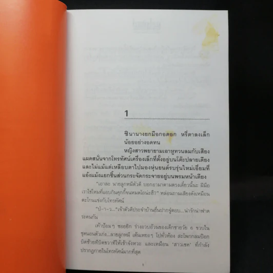 ดวงใจพิสุทธิ์ 2 เล่มจบ - กิ่งฉัตร รูปที่ 11