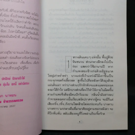 โสมส่องแสง 2 เล่มจบ - โรสลาเรน รูปที่ 9