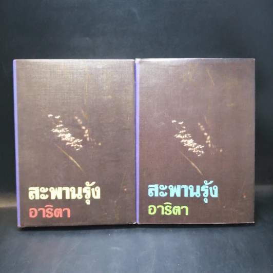 สะพานรุ้ง 2 เล่มจบ - อาริตา รูปที่ 1