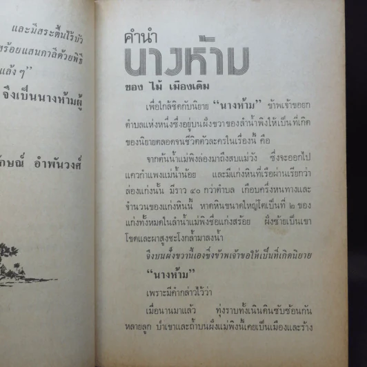 นางห้าม - ไม้ เมืองเดิม รูปที่ 12