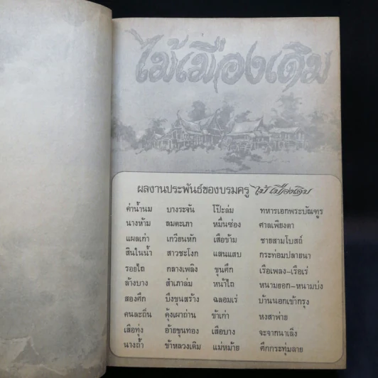 นางห้าม - ไม้ เมืองเดิม รูปที่ 8