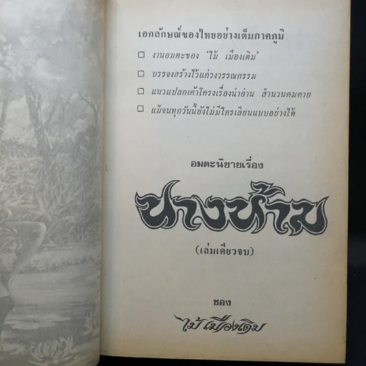 นางห้าม - ไม้ เมืองเดิม รูปที่ 9