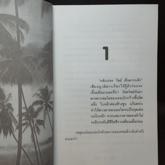 สัมปทานหัวใจ - โบตั๋น รูปที่ 9