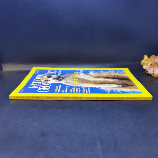 National Geographic ก.ย.2545 เมียร์แคต ยืนหยัดสู้โลก รูปที่ 3