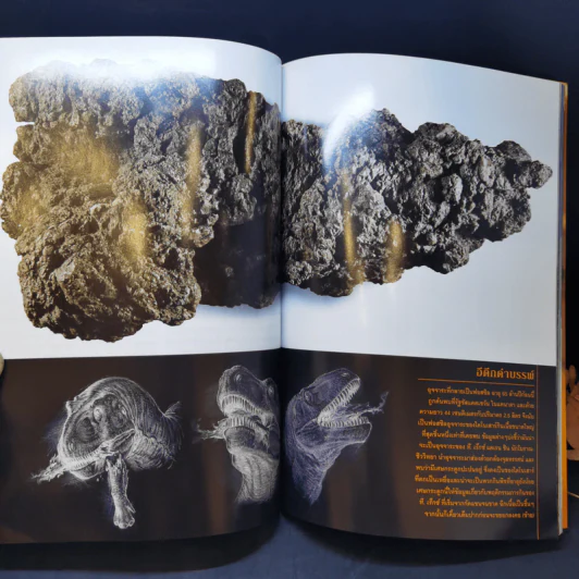 National Geographic มี.ค.2546 ไดโนเสาร์ ชำแหละความลับชีวิตสัตว์โลกล้านปี รูปที่ 14