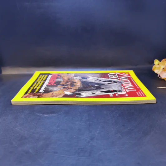 National Geographic มี.ค.2546 ไดโนเสาร์ ชำแหละความลับชีวิตสัตว์โลกล้านปี รูปที่ 5