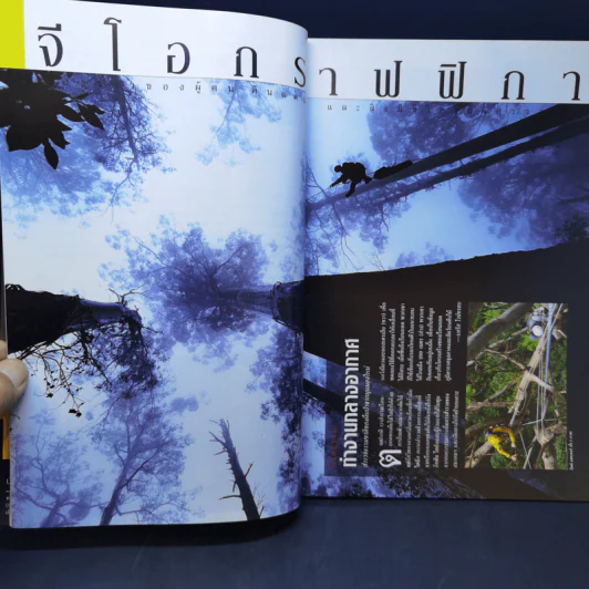 National Geographic มี.ค.2546 ไดโนเสาร์ ชำแหละความลับชีวิตสัตว์โลกล้านปี รูปที่ 10