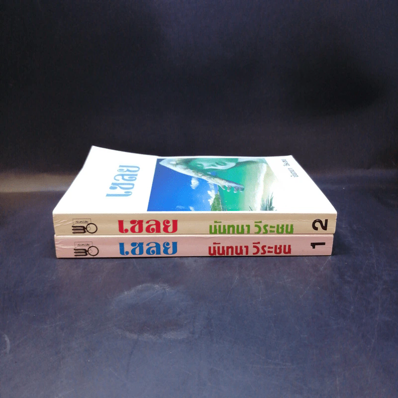 เชลย 2 เล่มจบ - นันทนา วีระชน รูปที่ 3
