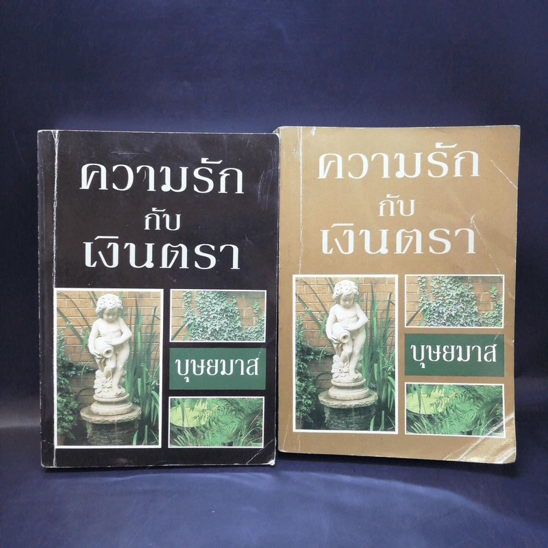ความรักกับเงินตรา 2 เล่มจบ - บุษยมาส รูปที่ 1