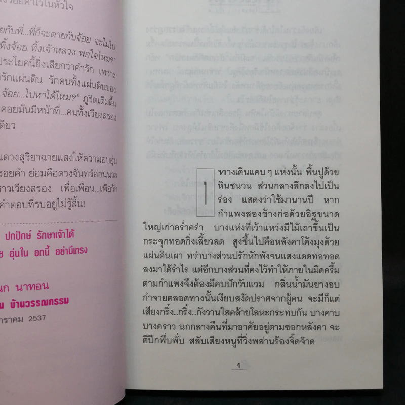 โสมส่องแสง 2 เล่มจบ - โรสลาเรน รูปที่ 9