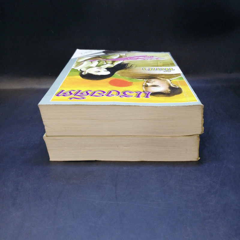 แรงอดีต 2 เล่มจบ - พัดชา รูปที่ 6