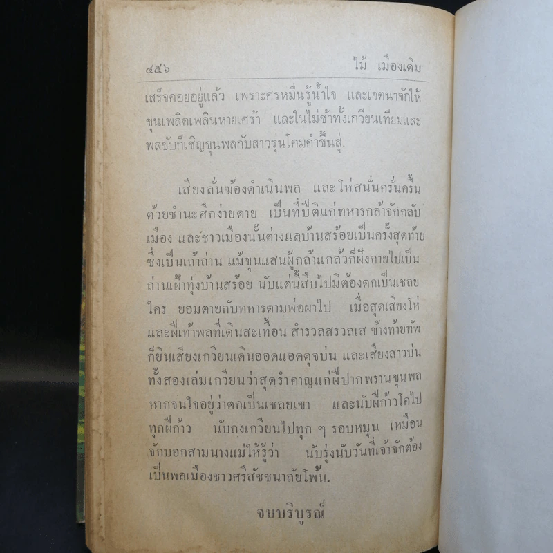 นางห้าม - ไม้ เมืองเดิม รูปที่ 14