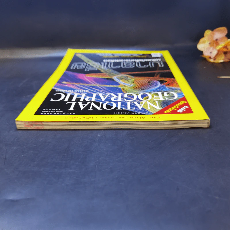 National Geographic ก.ค.2550 มาลาเรีย มหันตภัยในกระแสเลือด รูปที่ 6