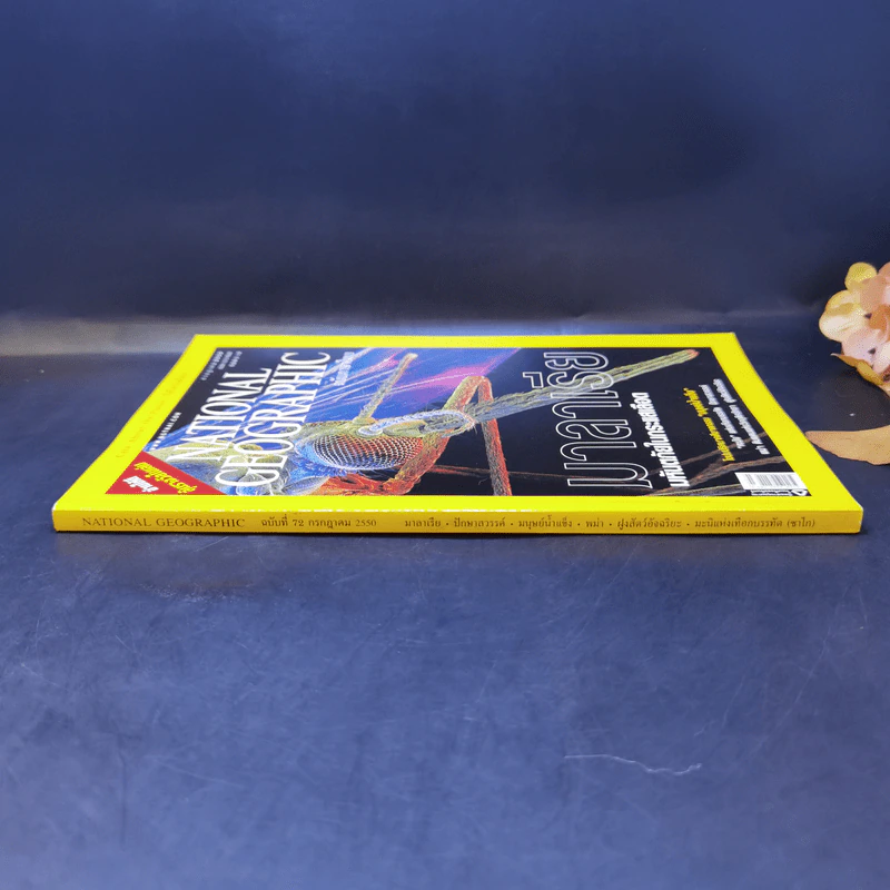 National Geographic ก.ค.2550 มาลาเรีย มหันตภัยในกระแสเลือด รูปที่ 3
