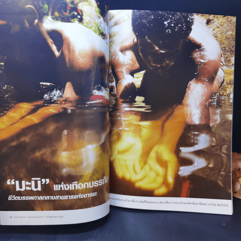National Geographic ก.ค.2550 มาลาเรีย มหันตภัยในกระแสเลือด รูปที่ 10