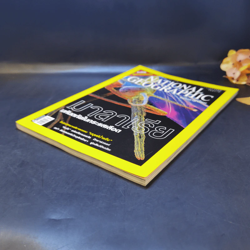 National Geographic ก.ค.2550 มาลาเรีย มหันตภัยในกระแสเลือด รูปที่ 7
