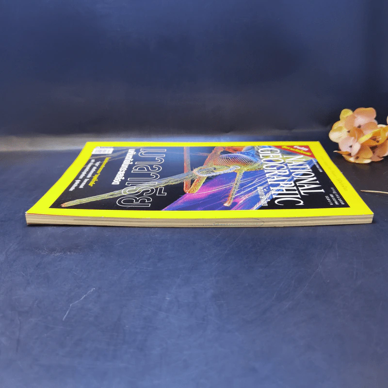 National Geographic ก.ค.2550 มาลาเรีย มหันตภัยในกระแสเลือด รูปที่ 5