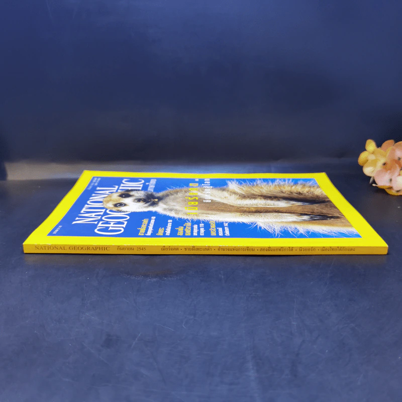National Geographic ก.ย.2545 เมียร์แคต ยืนหยัดสู้โลก รูปที่ 3