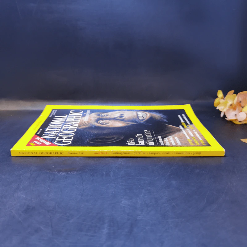 National Geographic ส.ค.2545 - นี่คือโฉมหน้านักบุกเบิก รูปที่ 3