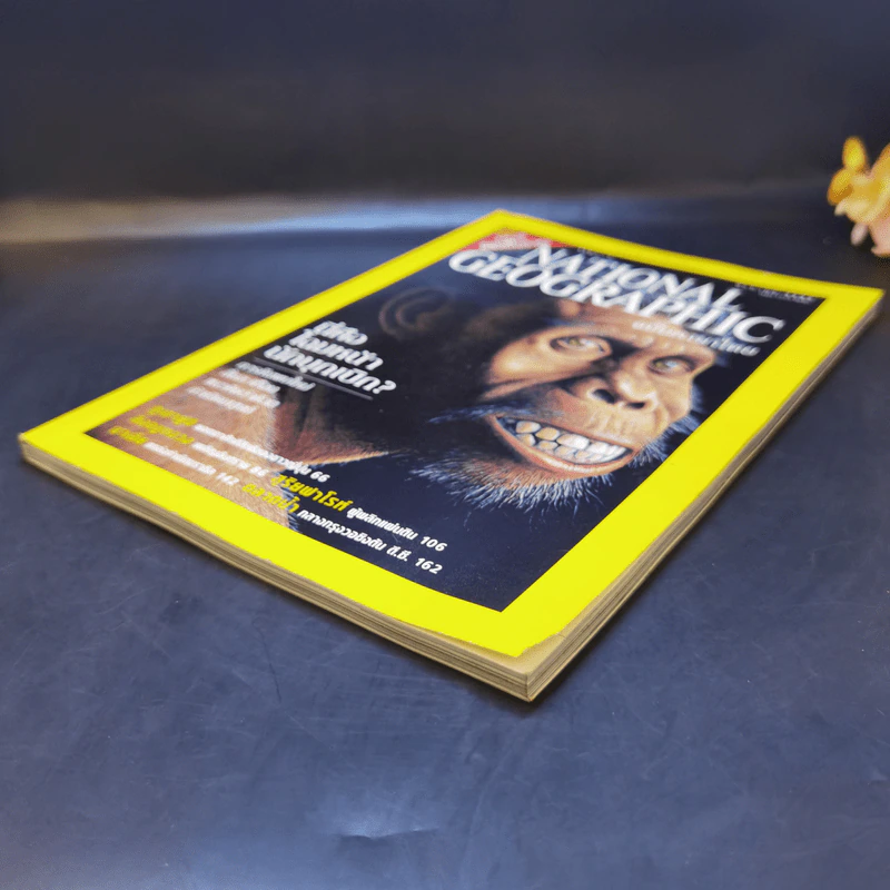 National Geographic ส.ค.2545 - นี่คือโฉมหน้านักบุกเบิก รูปที่ 7