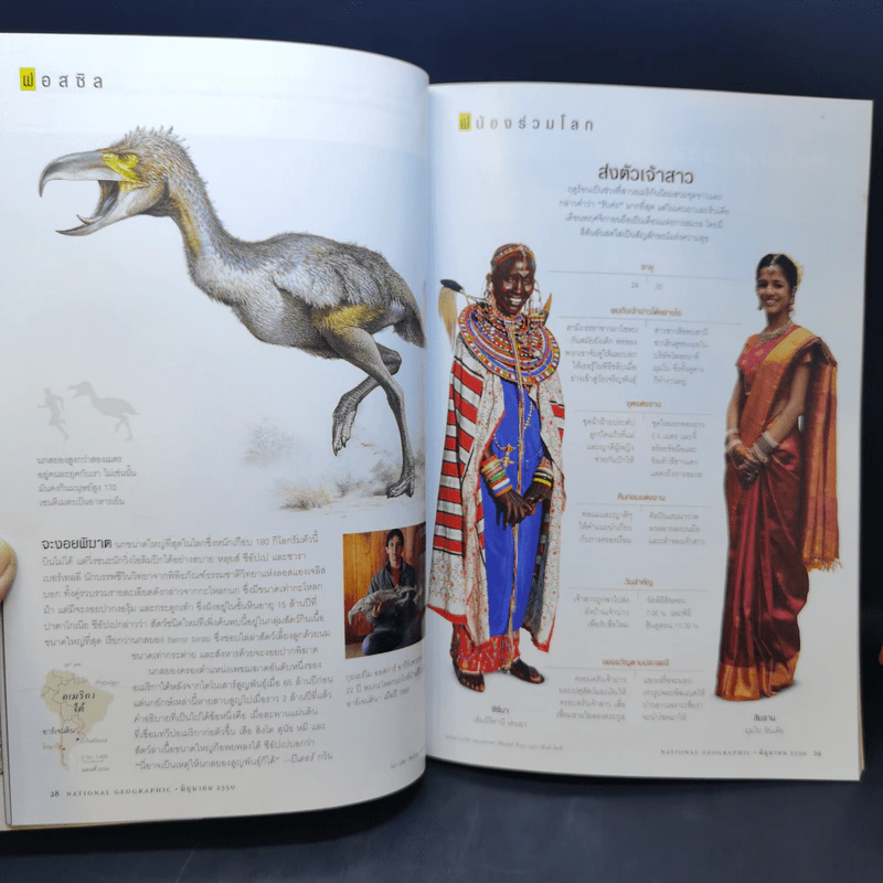 National Geographic มิ.ย.2550 วิกฤติโลกร้อน รูปที่ 10