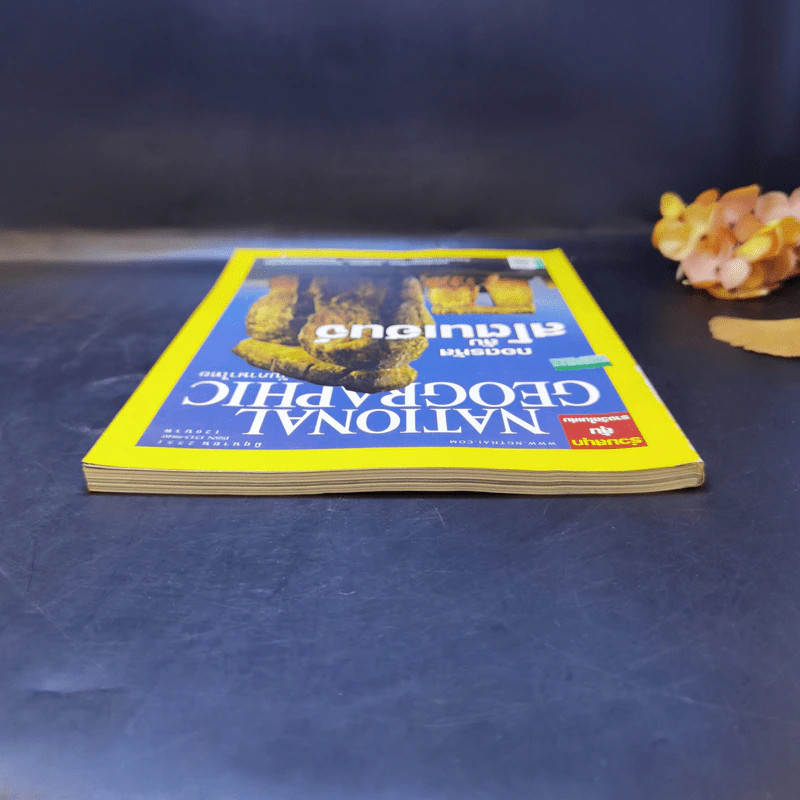 National Geographic มิ.ย.2551 ถอดรหัสลับสโตนเฮนจ์ รูปที่ 6