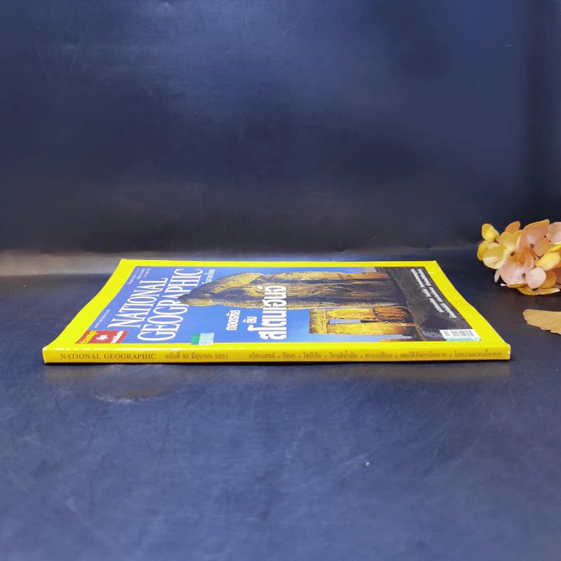 National Geographic มิ.ย.2551 ถอดรหัสลับสโตนเฮนจ์ รูปที่ 3