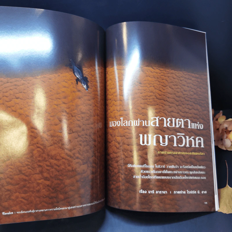 National Geographic มิ.ย.2551 ถอดรหัสลับสโตนเฮนจ์ รูปที่ 14