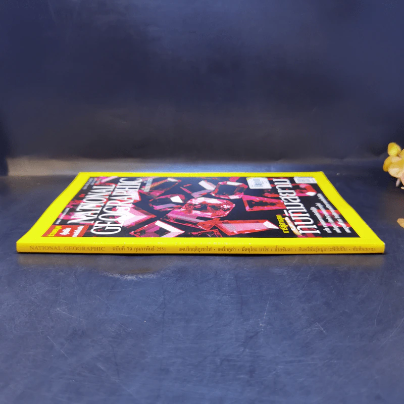 National Geographic ก.ย.2551 นารีผู้สาบสูญ ทับทิมสยาม รูปที่ 3